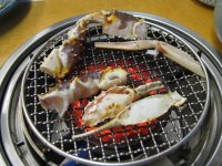 IMG_4241.JPG